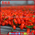 Health organic and conventional goji berry with low price